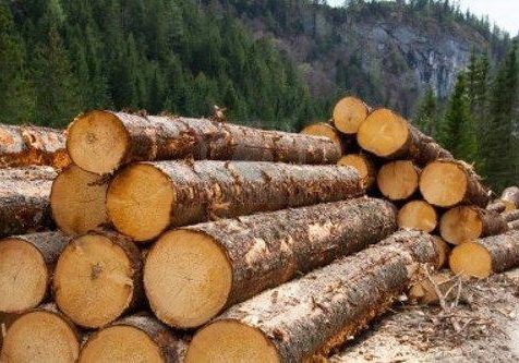 Commercial Timber Log 500x500