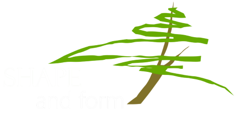 Shape And Form Logo C